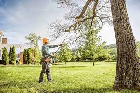 Best Soil Testing and Treatment  in Coto De Za, CA