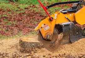 Best Leaf Removal  in Coto De Za, CA